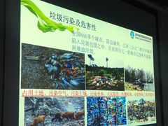 -银湖山郊野公园-相思林