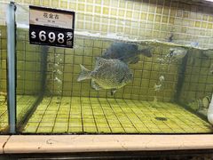 -御瀛日本料理