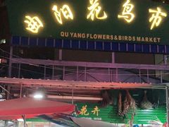 -曲阳花鸟市场(曲阳路店)