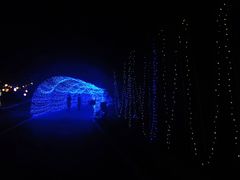 -昆山城市生态森林公园