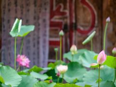 -田园印象·成都土菜院子(华阳店)