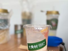 -大青树咖啡(大理古城店)