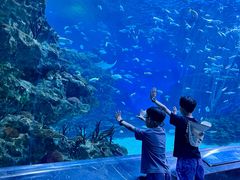-海合安成都极地海洋公园