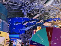 -烟台海昌鲸鲨海洋公园