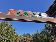 -古塔公园
