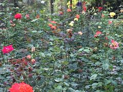 -苏州河梦清园环保主题公园