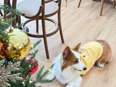 -echoes coffee回响咖啡(红山店)