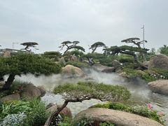 -罗红摄影艺术馆