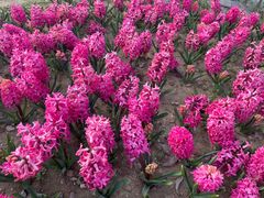 -玄武湖景区-情侣园游乐场