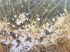 -野鸭湖国家湿地公园