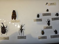 -中国湿地博物馆