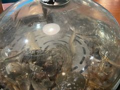 -蟹谢蒸鲜自助餐厅