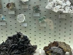 -浙江自然博物院(杭州馆)