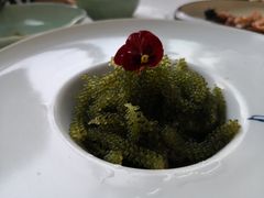 -Lotus 莲花空间(国贸商城店)