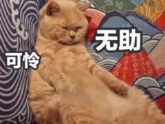 -晓午阳常熟炒浇面(红庙店)