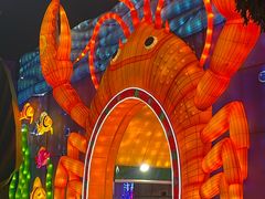 -白沙门生态公园