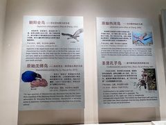 -辽宁古生物博物馆