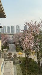 -禧悦府国际月子会所(总店)