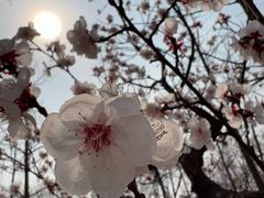 -青龙湖公园
