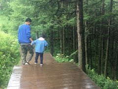 -驼梁风景区
