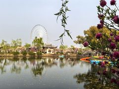 -无锡蠡湖国家湿地公园-蠡园
