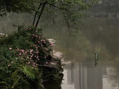 -龙头寺公园