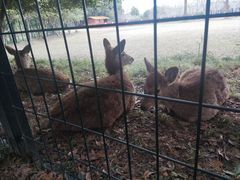 -上海交通大学(闵行校区)