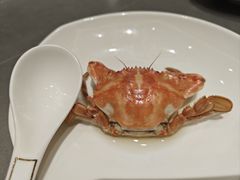 -神洲四海大酒楼(王府井澳门中心店)