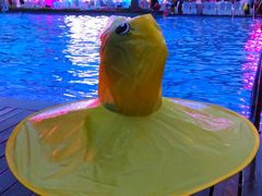 -西双版纳融创皇冠假日度假酒店