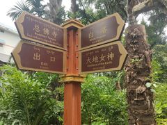 -西双版纳总佛寺