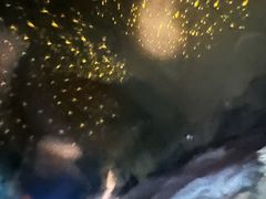 -地心探险极地