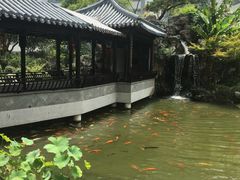 -苏苑饭店-中餐厅(长桥地区店)