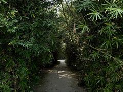 -良渚古城遗址公园