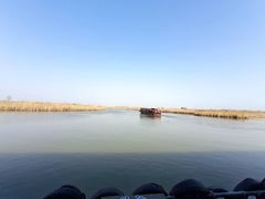 -宁波杭州湾国家湿地公园