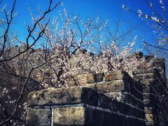 -龙泉峪长城