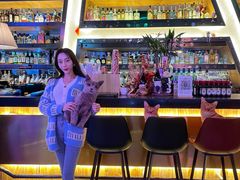 -Famous肥猫墨西哥音乐餐吧(五棵松华熙LIVE店)