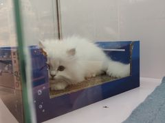 -狗道宠物(常熟印象城店)