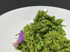 -金狮麟·宋宴