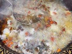 -金三可市井水煮鱼(金碧园店)