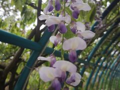 -南通洲际绿博园