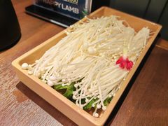 -快乐小羊·内蒙牛羊肉火锅(流花中心店)