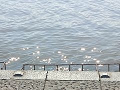 -西昌邛海湿地