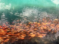 -楠溪江风景名胜区