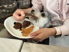-the rug 飞毯 (朝阳公园店)