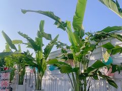 -天空花园餐吧·生日·团建(南山店)