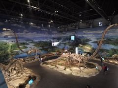 -自贡恐龙博物馆