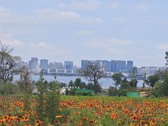 -青岛银沙滩