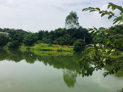 -溪悦渔庄(九龙湖店)