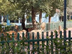 -无锡动物园·太湖欢乐园