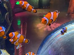 -沈阳海洋探索中心